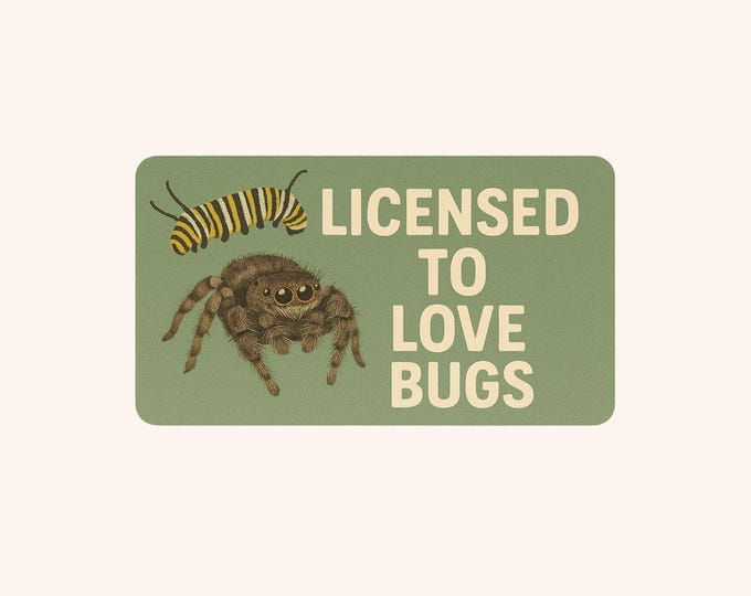 Licensed to love bugs - Bumper Sticker (1pc)