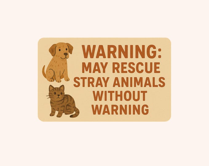Warning: May Rescue Strays - Bumper Sticker (1pc)