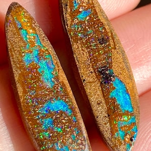 30 x 8 x 4,6 mm - borrat par - australisk stenopal - fri form - rörträfossil - opal - ädelstenstillbehör - vb465