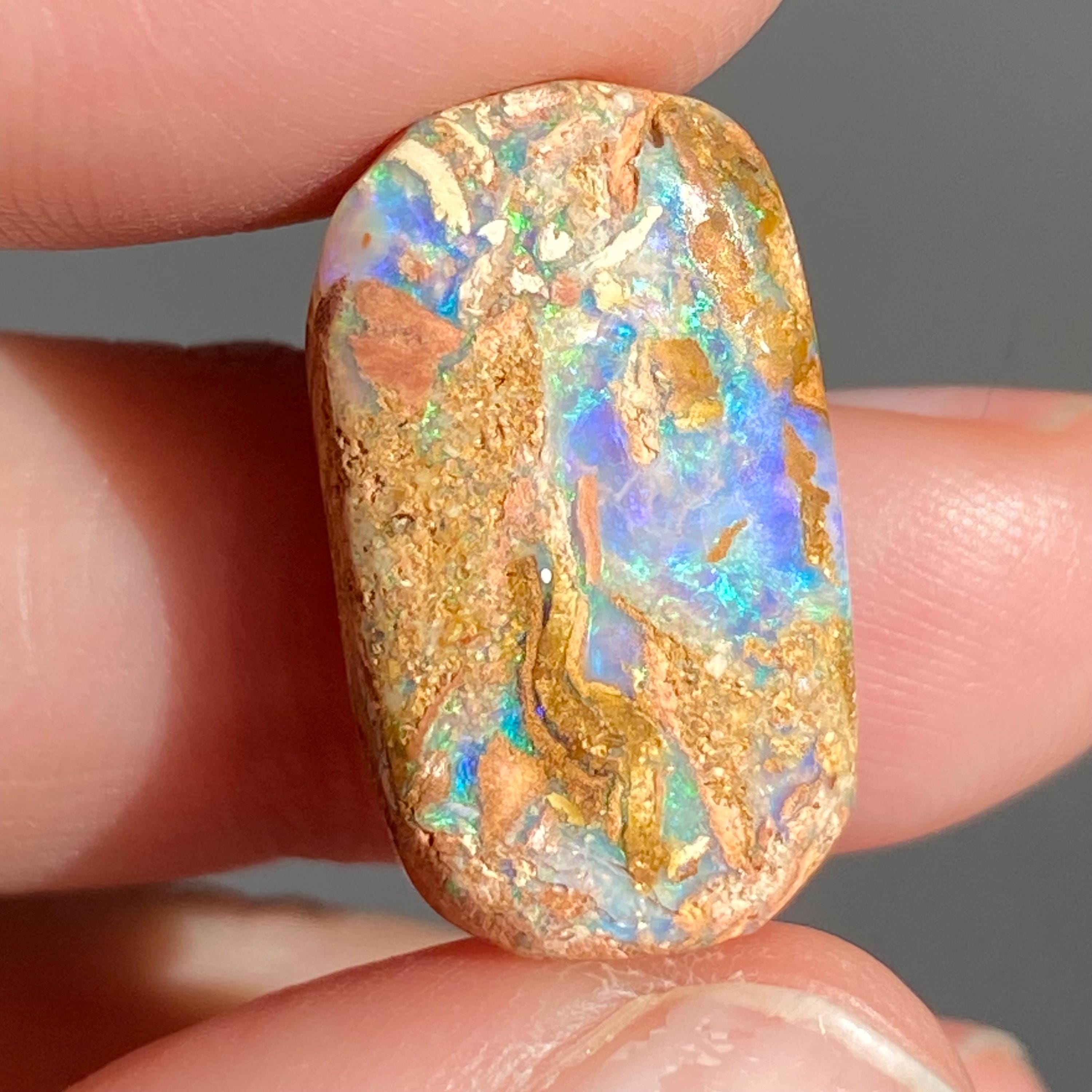 オーストラリア産ボルダーオパール - 21 x 12 x 5 mm - 木化石オパール