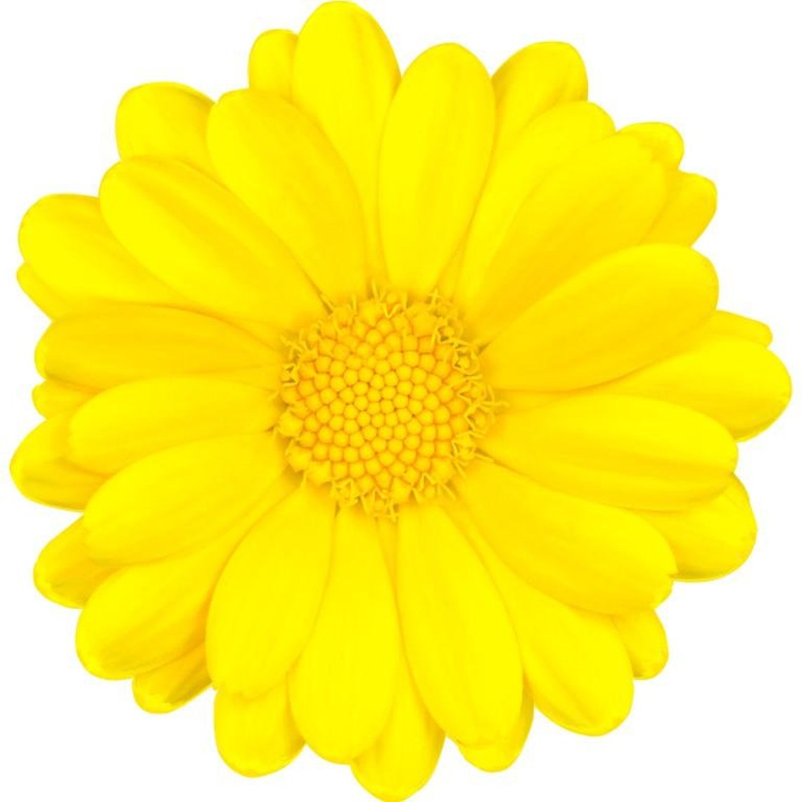 Unique Yellow Flowers Placemats Table Mats Boho Placemats Etsy