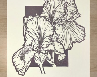 Iris en fleur