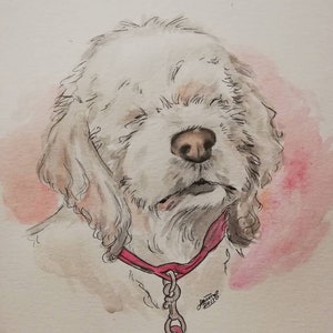 WaterColour Pet Portraits