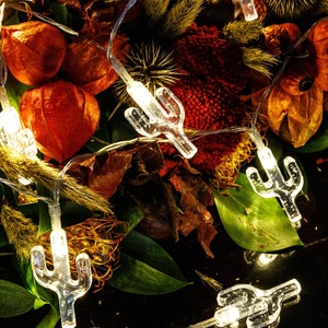 May include: A string of clear, cactus-shaped fairy lights illuminates a dark surface. The lights are interspersed with dried flowers, leaves, and seed pods in shades of orange, red, and green, creating a warm, desert-inspired ambiance.