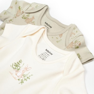 Rabbit Organic cotton 2 Pcs Baby Short Sleeve Body Set, Ecru-Soft Green, Baby Bodysuit,Baby rompers, Baby Onsies, Newborn Gift,Baby Clothes