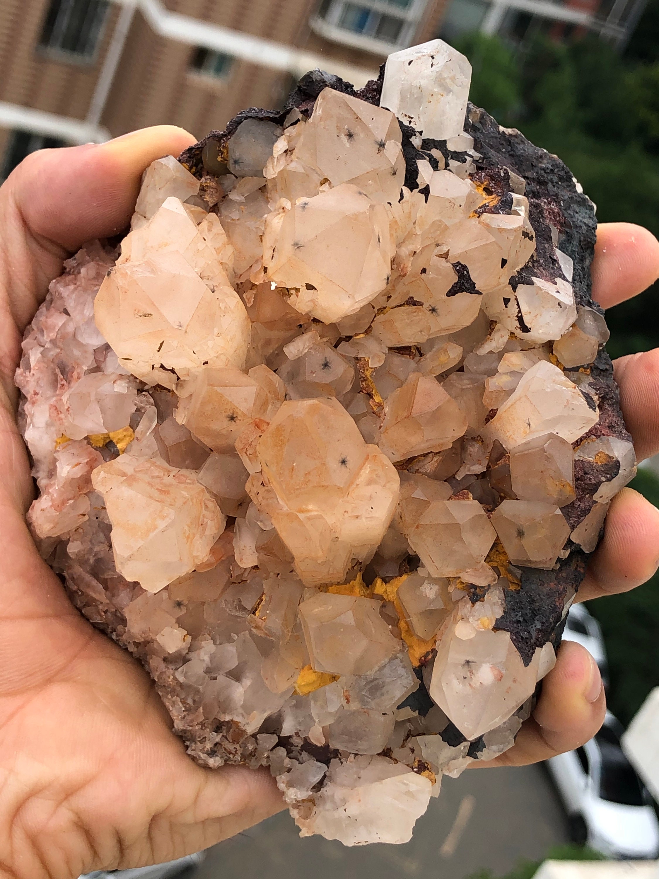 612g RARE natural hollandite star quartz crystal point G344 Etsy