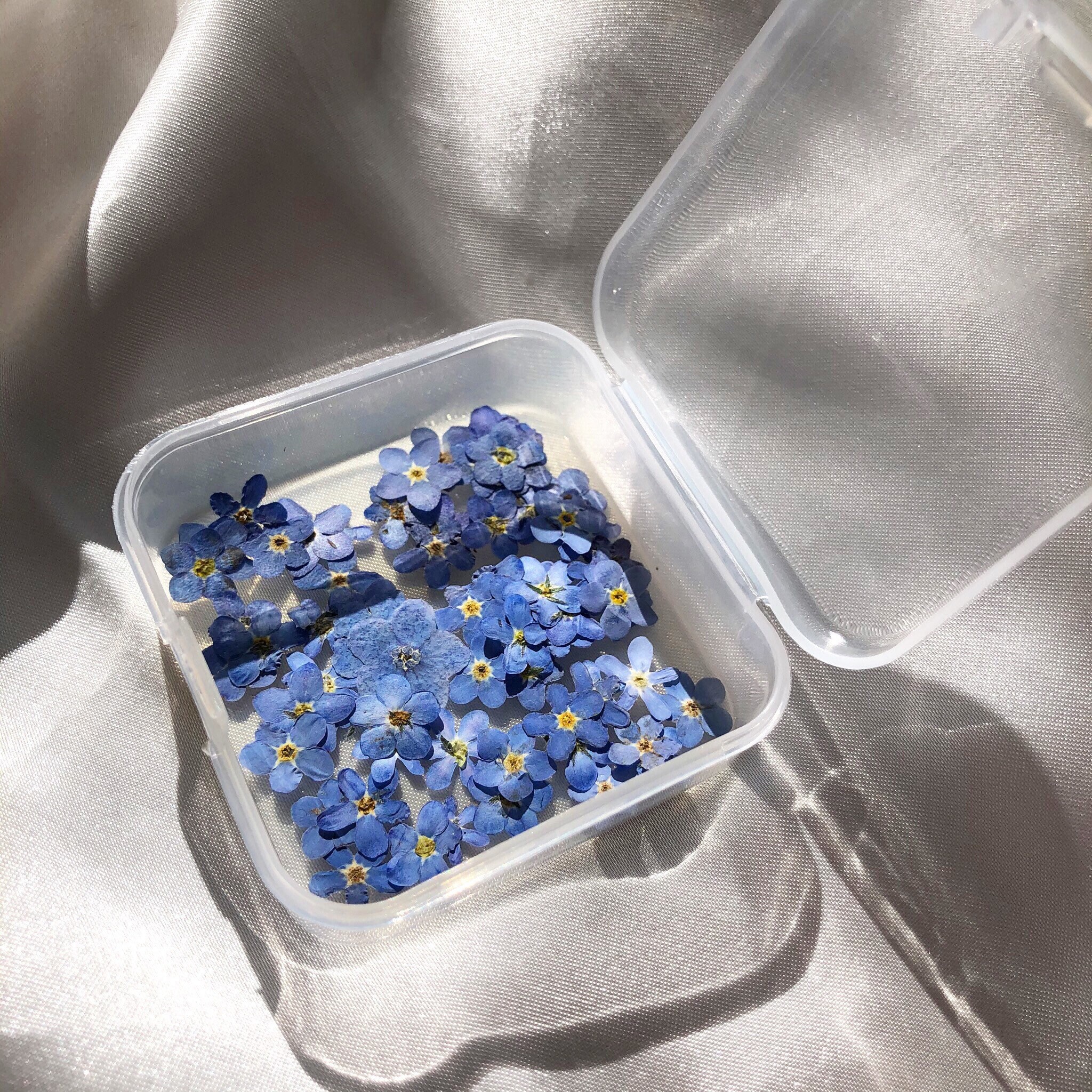 Pressed Flowers 5100pcs Real Hand Dried Etsy