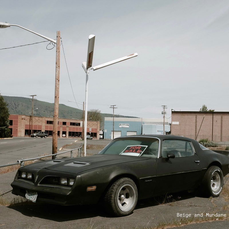 Trans Am Sign - Etsy