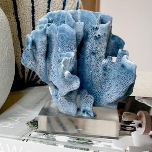 Genuine 100% Natural Sea BLUE RIDGE CORAL 6.5x6.5&quot; Acrylic Mounted Ocean Reef Coastal Beach Décor Nautical Gift Real Ocean Treasure