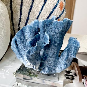 Genuine 100% Natural Sea BLUE RIDGE CORAL 6x6&quot; Acrylic Mounted Ocean Reef Coastal Beach Décor Nautical Gift Real Ocean Treasure