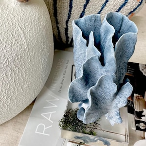 Genuine 100% Natural Sea Light BLUE RIDGE CORAL 7.5x5.5&quot; Acrylic Mounted Ocean Reef Coastal Beach Décor Nautical Gift Real Ocean Treasure