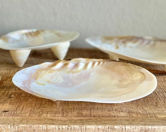 REAL Mother of Pearl Irredescent Giant Mussel Seashell Footed Jewelry Dish 6-10" Beach Table Coastal Décor Decorative Bowl Clam