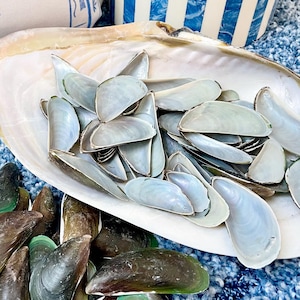 May include: A white ceramic mug with a black handle and the text "But First, Coffee" in a handwritten style. The mug is on a white surface. The mug is approximately 4 inches tall.