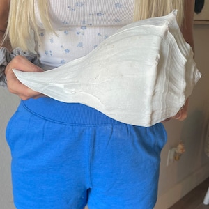 May include: A large, white conch shell with a textured surface. The shell is held against a person wearing blue shorts and a white floral tank top. The shell's size and shape are prominent.