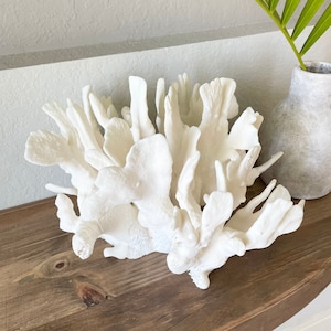 Genuine Sea White CACTUS CORAL 100% Natural Ocean Reef Aquarium Coastal Beach Ocean Décor Nautical Flat cut bottom