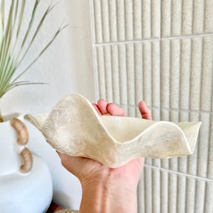 Pode incluir: Uma grande tigela decorativa em forma de concha, esbranquiçada, com uma borda ondulada. A tigela é segurada em uma mão, mostrando sua textura e forma natural. O fundo inclui um vaso branco com uma planta e uma parede texturizada.