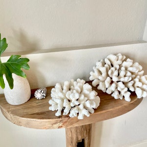 K&ouml;nnte beinhalten: Zwei wei&szlig;e Korallenst&uuml;cke auf einem Holzregal mit einer wei&szlig;en Vase und einer gr&uuml;nen Pflanze.