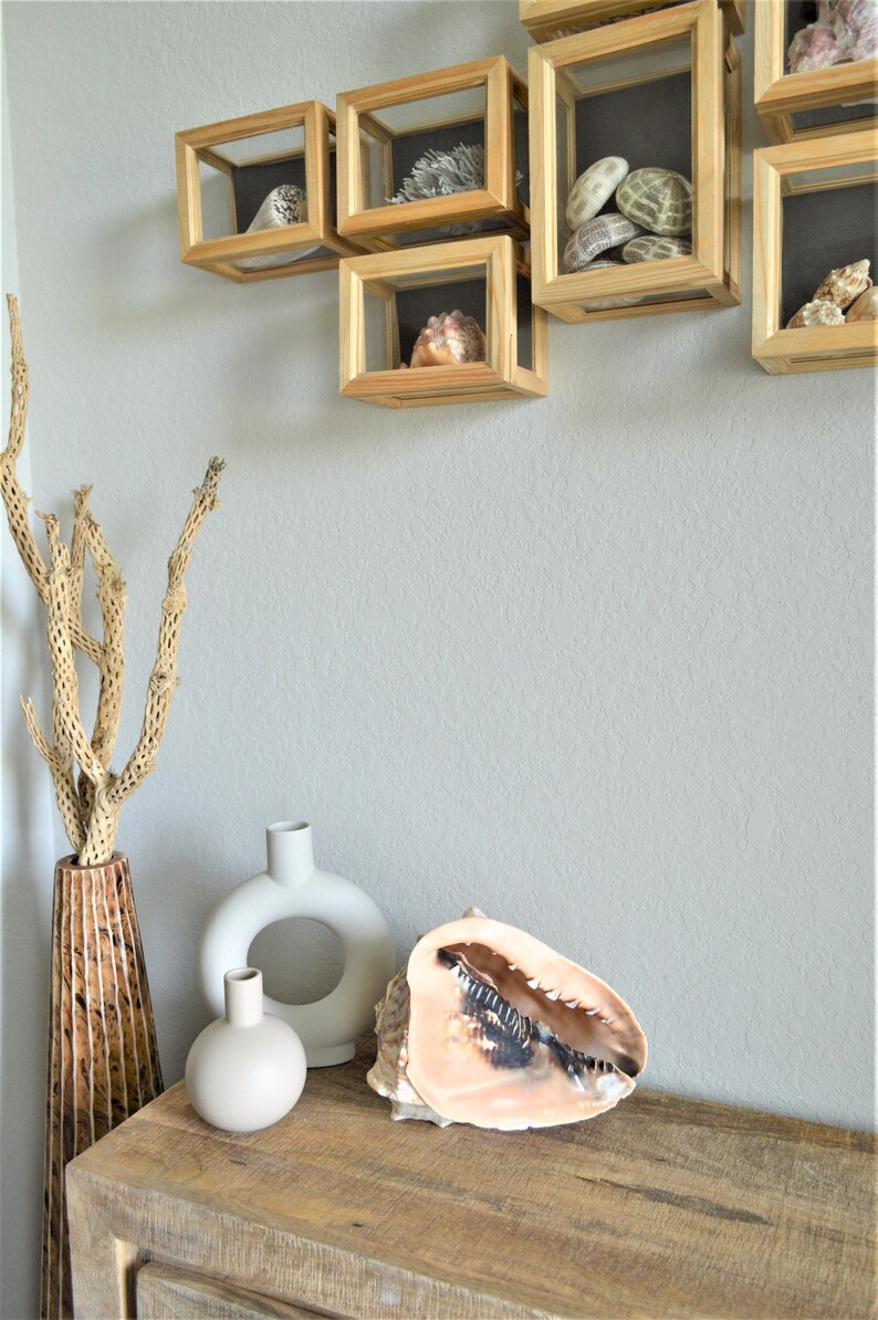 Queen Helmet Seashell Pick Size 59 Beach Nautical Décor Etsy