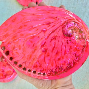 May include: A large, iridescent pink abalone shell with a pearlescent finish. The shell has a natural, organic shape and a smooth, polished surface.