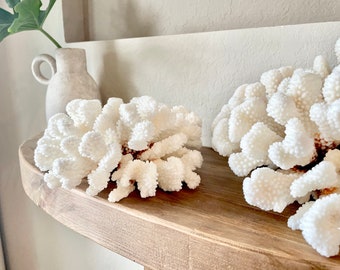 White CLUSTER CORAL 3-12" 100% Genuine Sea Ocean Reef Aquarium Coastal Beach Décor Nautical