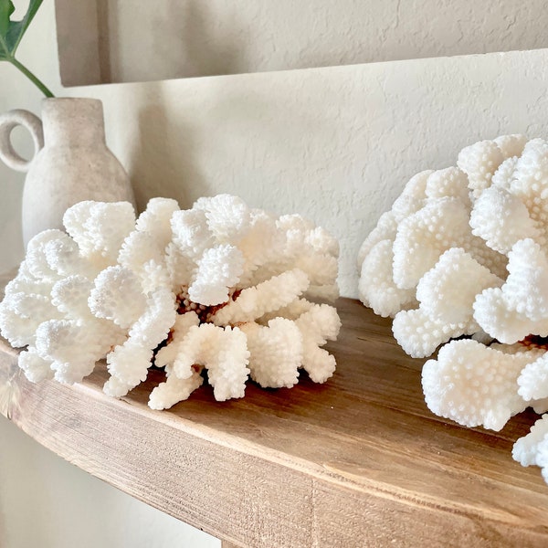 White CLUSTER CORAL 3-12" 100% Genuine Sea Ocean Reef Aquarium Coastal Beach Décor Nautical