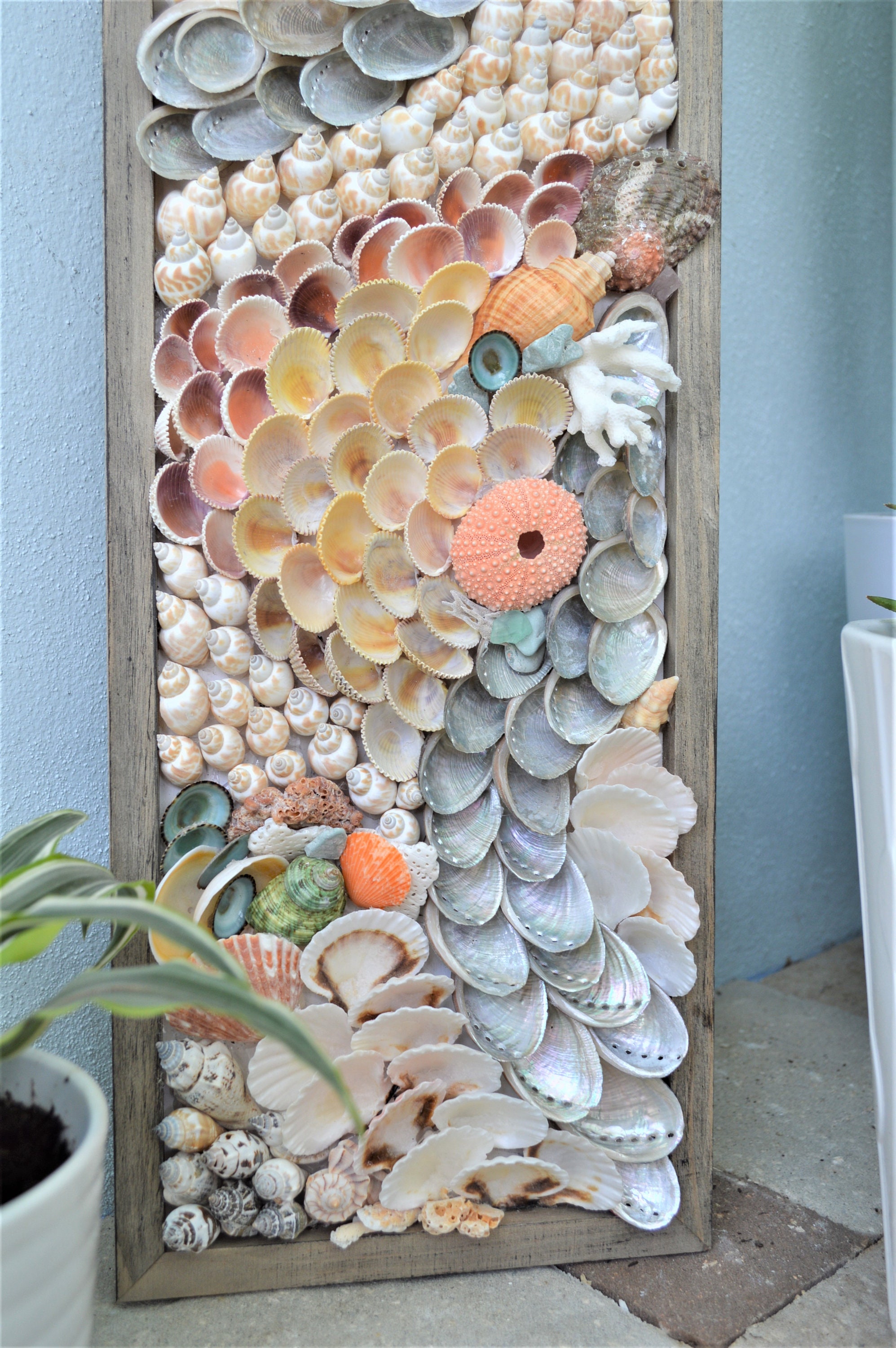 Handmade Modern Coastal Wall Art Sea Shells & Wood Panel Etsy