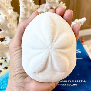 May include: A white sand dollar with a detailed floral pattern is held in a hand. The sand dollar is a pale, off-white color and has a textured surface. The background includes a white coral and a book.