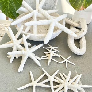 100% Real White Pencil Finger Starfish ALL SIZES Crafts & Coastal Décor Wedding Beach Nautical Sea Stars Natural