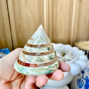May include: A decorative, layered seashell sculpture in a conical shape. The shell features bands of white, green, and tan hues. The sculpture is held in a hand, with a blurred background of other decorative items.