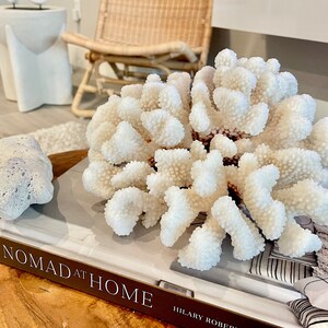 K&ouml;nnte beinhalten: Wei&szlig;er Korallenast auf einem Buch mit dem Titel "Nomad at Home" von Hilary Roberts. Das Buch liegt auf einem Holztisch.