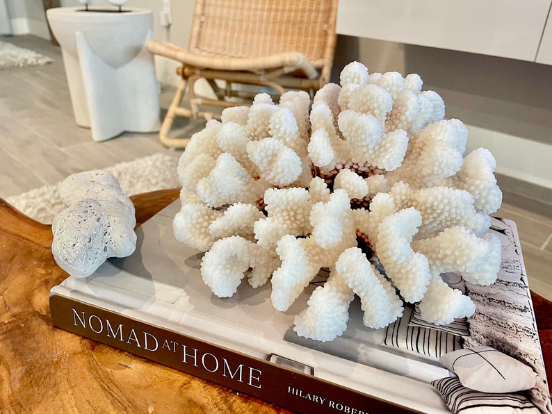 K&ouml;nnte beinhalten: Wei&szlig;er Korallenast auf einem Buch mit dem Titel "Nomad at Home" von Hilary Roberts. Das Buch liegt auf einem Holztisch.