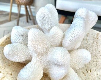 White Chunky CAULIFLOWER CORAL 3-7" 100% Genuine Sea Ocean Reef Aquarium Coastal Beach Décor Nautical