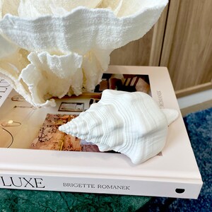K&ouml;nnte beinhalten: Eine wei&szlig;e Muschel liegt auf einem Buch mit dem Titel "Livable Luxe" von Brigette Romanek. Eine gro&szlig;e, strukturierte, wei&szlig;e korallenartige Dekoration befindet sich &uuml;ber dem Buch. Das Buch liegt auf einer gr&uuml;nen Oberfl&auml;che, mit einem blauen Teppich im Hintergrund.