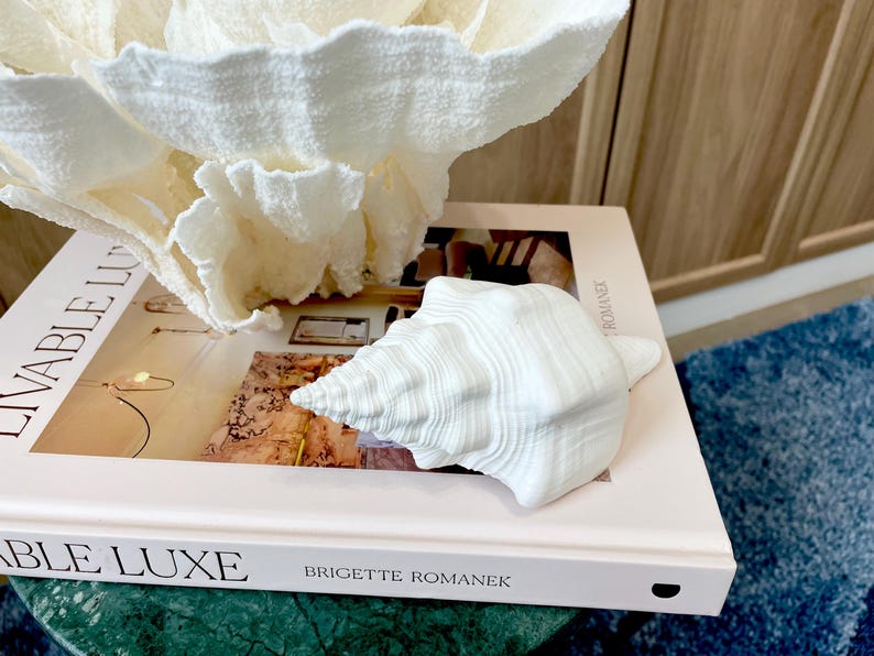 K&ouml;nnte beinhalten: Eine wei&szlig;e Muschel liegt auf einem Buch mit dem Titel "Livable Luxe" von Brigette Romanek. Eine gro&szlig;e, strukturierte, wei&szlig;e korallenartige Dekoration befindet sich &uuml;ber dem Buch. Das Buch liegt auf einer gr&uuml;nen Oberfl&auml;che, mit einem blauen Teppich im Hintergrund.