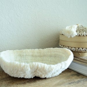 Genuine Sea BOWL CORAL 8-12&quot; You choose size Coastal Beach Ocean Décor Ocean Reef Aquarium  Nautical White Tray Dish Wedding Gift