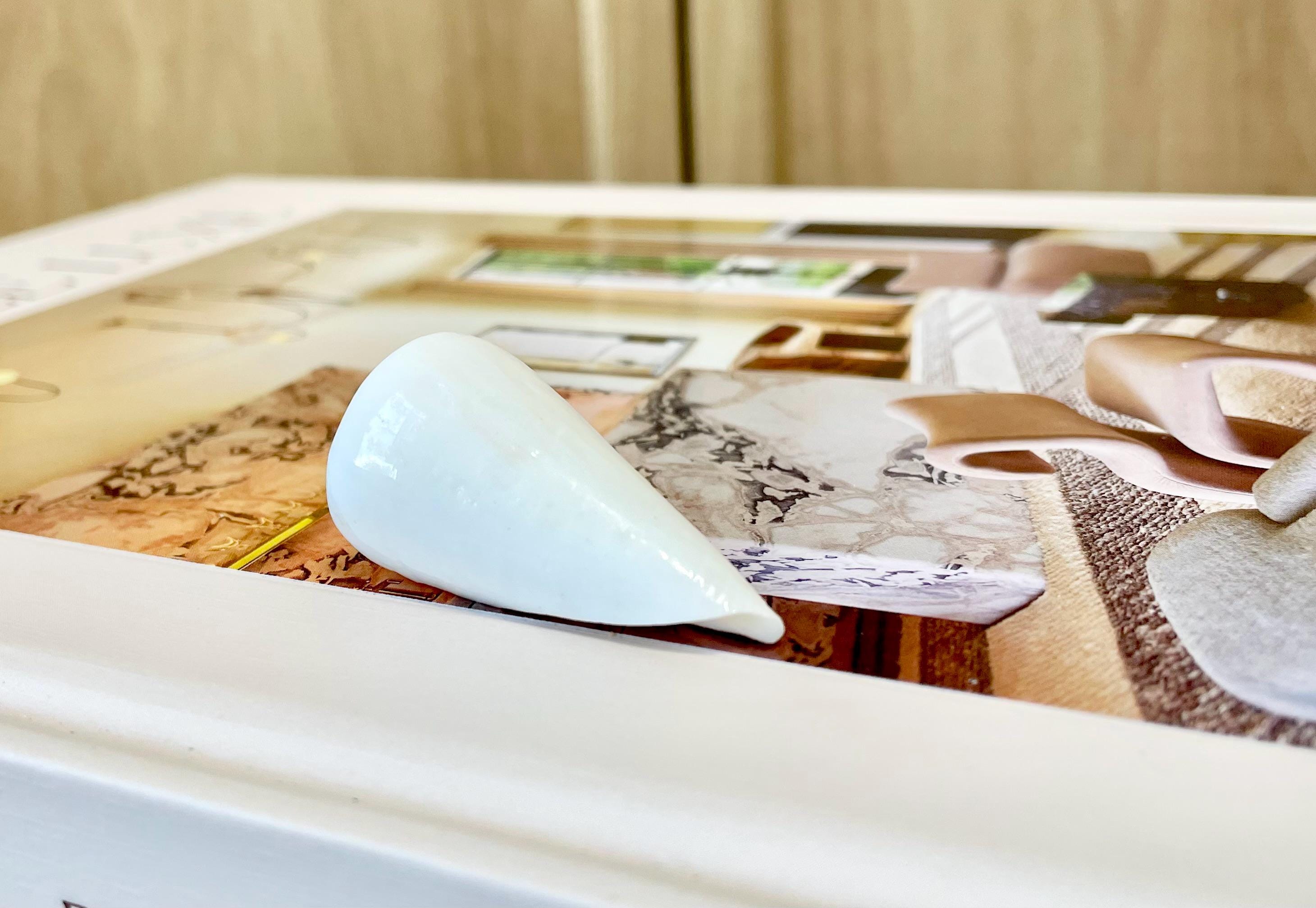 Pure White Natural Cone Shells: 1.5-2.5