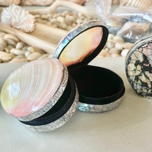 May include: Open seashell-shaped jewelry box with a pearlescent finish and black velvet interior. The box is partially open, revealing the interior. Other seashells are visible in the background, suggesting a coastal theme.