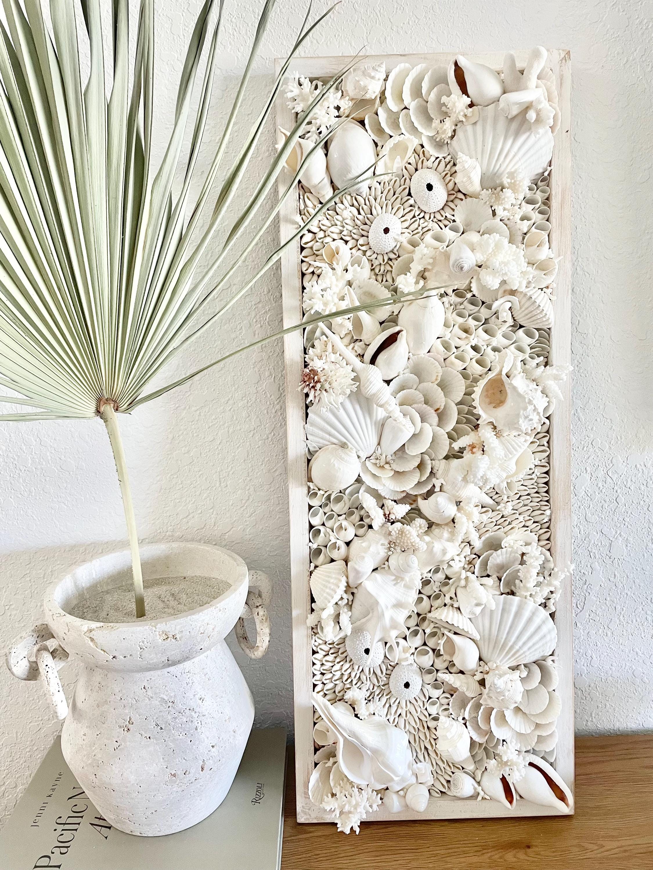 Organic Seashell Wall Art Coastal Natural REAL Shells Urchins Coral High End Beach House Décor White Collage Hanging 36”
