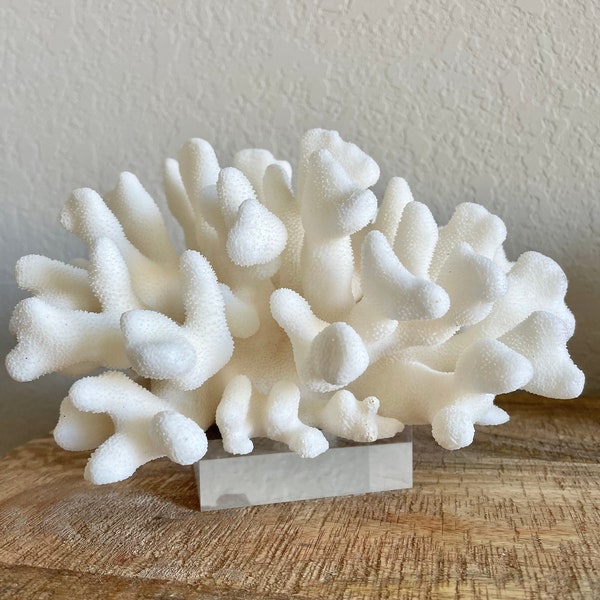 Lucite Display Stand Etsy