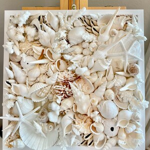 Handmade Seashell Collage Wall Art: Natural Coastal Home Decor White - Etsy
