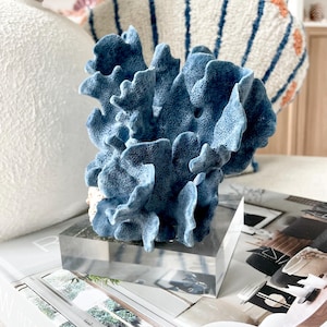 Genuine 100% Natural Sea BLUE RIDGE CORAL 6.5x5.25&quot; Acrylic Mounted Ocean Reef Coastal Beach Décor Nautical Gift Real Ocean Treasure