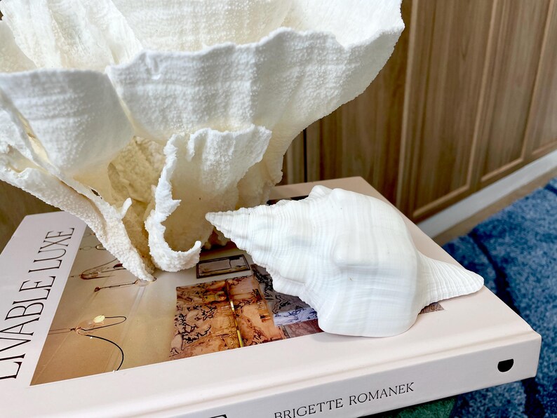 K&ouml;nnte beinhalten: Eine wei&szlig;e Muschel und eine gro&szlig;e, strukturierte, wei&szlig;e korallenartige Skulptur liegen auf einem Buch mit dem Titel "LIVABLE LUXE" von Brigitte Romanek. Das Buch liegt auf einem Tisch mit einem blauen Teppich im Hintergrund.
