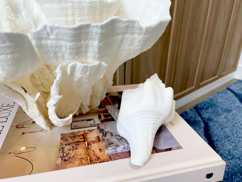 K&ouml;nnte beinhalten: Eine wei&szlig;e Muschelbildhauerei und ein gro&szlig;es, strukturiertes, wei&szlig;es, korallenartiges Dekorationsobjekt. Die Objekte werden auf einem Buch ausgestellt. Der Hintergrund umfasst Holzschr&auml;nke und einen blauen Teppich.