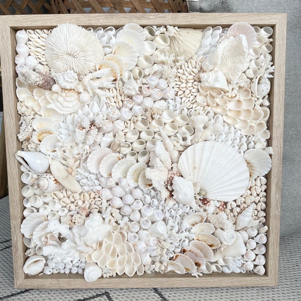 CORAL GARDENS Modern Coastal Wall Art Natural Textured Framed Seashells Sea Urchins Beach House Décor White