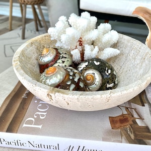 May include: A white ceramic bowl filled with seashells and a white coral branch. The bowl is sitting on a book titled "Pacific Natural At Home" by Jenni Kayne.