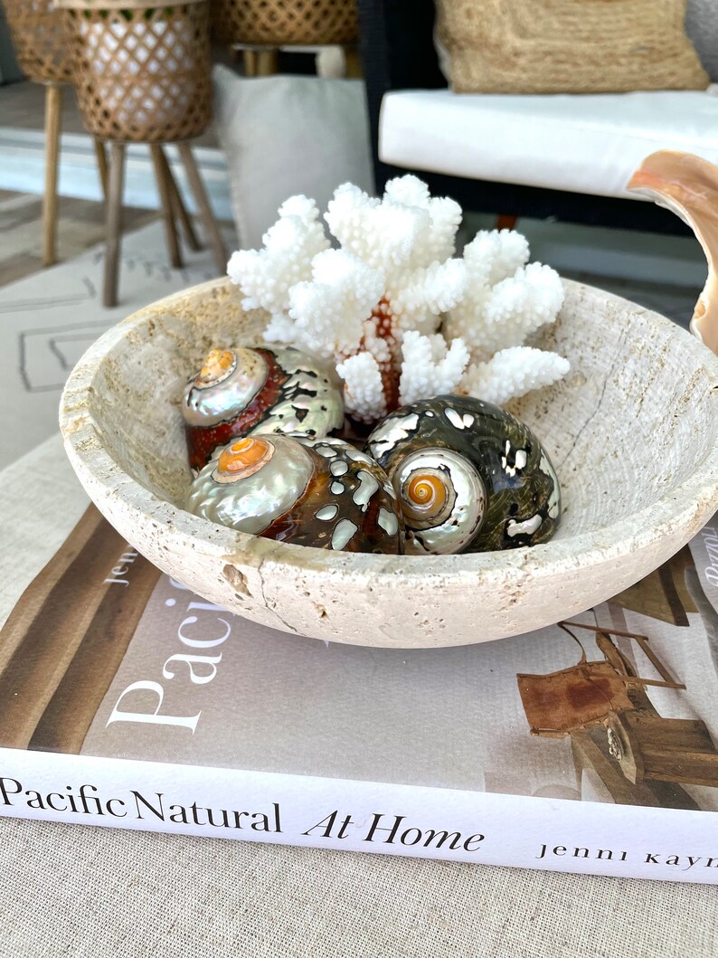 May include: A white ceramic bowl filled with seashells and a white coral branch. The bowl is sitting on a book titled "Pacific Natural At Home" by Jenni Kayne.