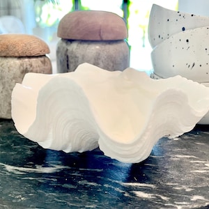 May include: A decorative arrangement featuring a white clam shell, speckled white bowls, and stone jars with wooden lids. The items are displayed on a dark, round surface, creating a coastal or natural aesthetic.