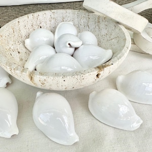 May include: A collection of white seashells in a light brown bowl. The bowl is made of natural stone and has a rough texture. The seashells are smooth and glossy.