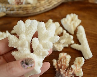 Vintage Lot 20 Pieces of Coral Shell Nautical Sea DIY Decor