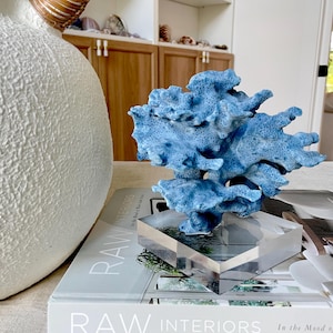Genuine 100% Natural Sea BLUE RIDGE CORAL 6x5.5&quot; Acrylic Mounted Ocean Reef Coastal Beach Décor Nautical Gift Real Ocean Treasure